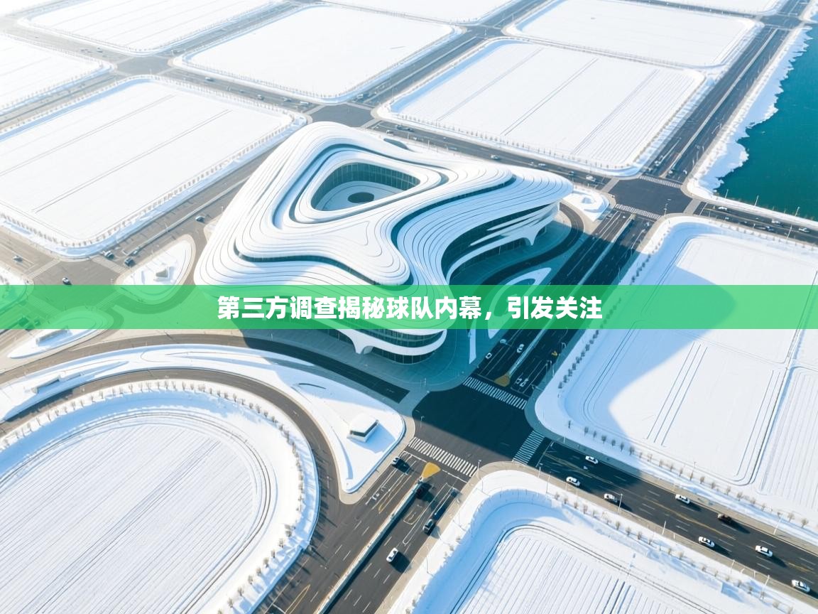 第三方调查揭秘球队内幕,引发关注 第2张