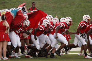 九游官网入口-国际热身赛中国青年队战胜 球迷现场助威不断，热身赛国足  第3张